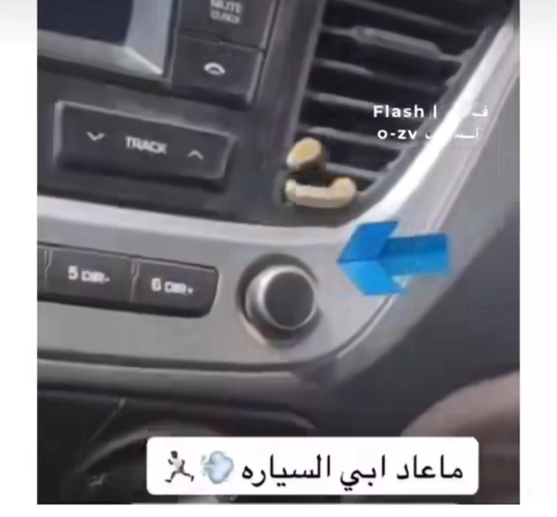 افعى كبيرة تخرج من مكيف حافلة كبيرة في السعودية وهذا ما فعلته بالركاب.. شاهد
