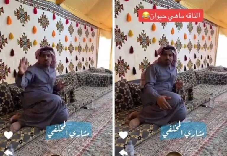 من جديد “المخلفي” مُتمسك برأيئه الى الان ان الناقة ليست حيوان لهذا السبب.. فيديو