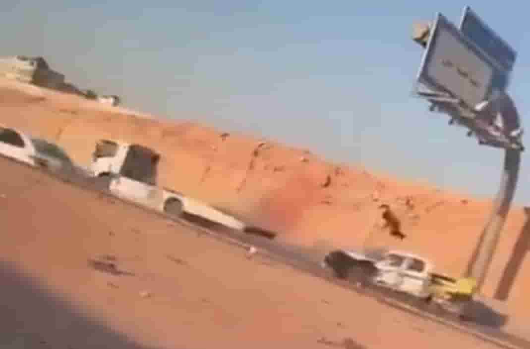 حادث مروري في الرياض والمرور السعودي يكشف عدد الضحايا.. شاهد