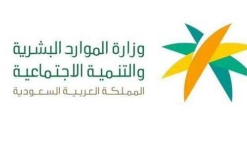 العمالة المنزلية