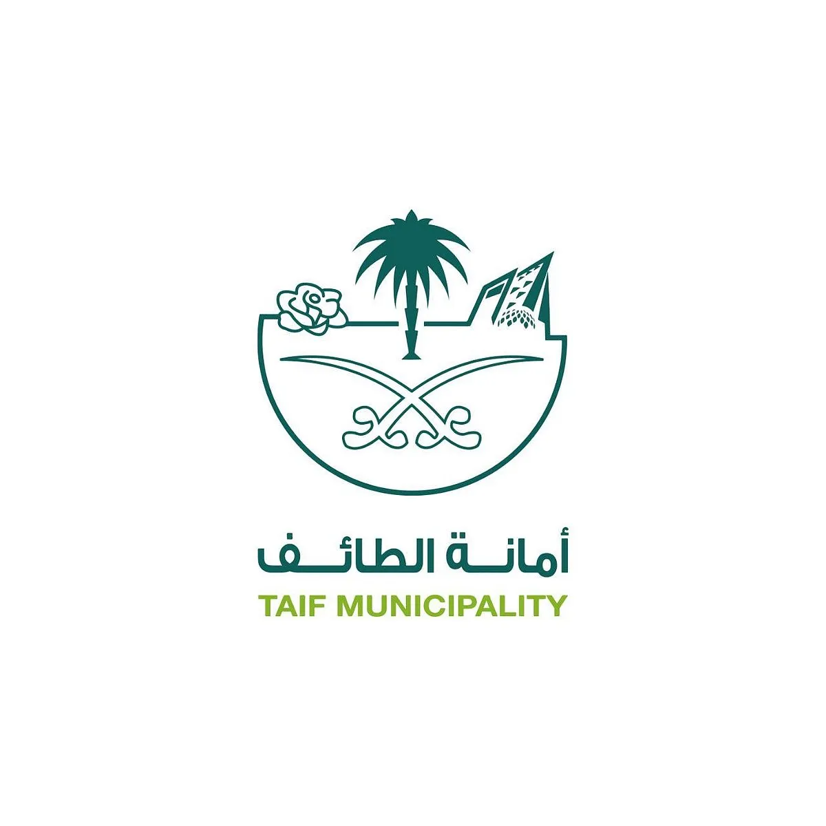 ما الذي يحدث في مواقع ذبح الدجاج في الطائف؟ الأمانة العامة تنشر صور المفاجأة